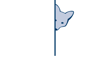 Cinefox - CineFox-wit