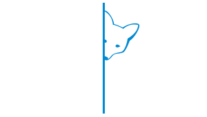 Cinefox - CineFox-logo-diap-RGB-300x170-1